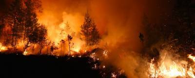 Жителей Колымы предупредили о пожарной опасности в ближайшие дни