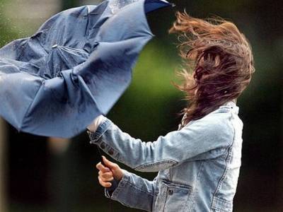 Сильный ветер, слабый дождь. Погода в Ульяновской области на 20 сентября