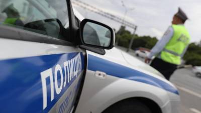В Петербурге инспектора ДПС обвинили в избиении дачника тяпкой