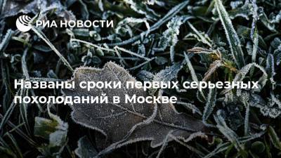 Названы сроки первых серьезных похолоданий в Москве