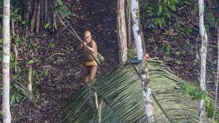 Что мы знаем об амазонском племени, убившем приехавшего к ним ученого?