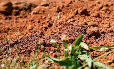 Как улучшить глинистую почву на садовом участке и на огороде? 5 лучших разрыхлителей
