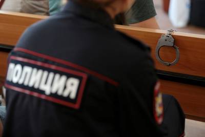 В Санкт-Петербурге полицейского обвинили в избиении дачника тяпкой