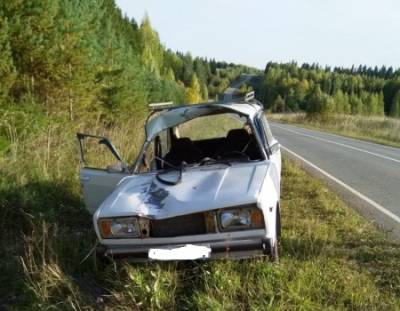 В Прикамье автомобиль сбил лося, пострадали двое