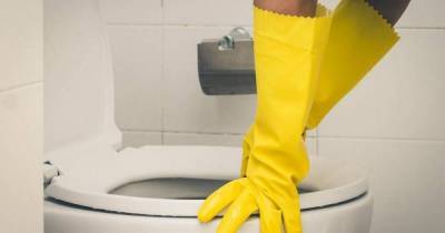 Простой и эффективный способ очистки, который заставит унитаз благоухать и оставаться чистым