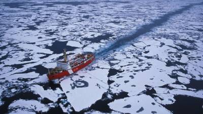 Россия вывезла 70 тонн металлического мусора с острова в Арктике