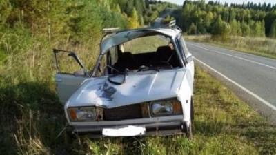 В Пермском крае в ДТП с лосем пострадали два человека
