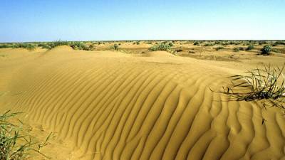 Земля может превратиться с гигантскую пустыню: эксперты бьют тревогу