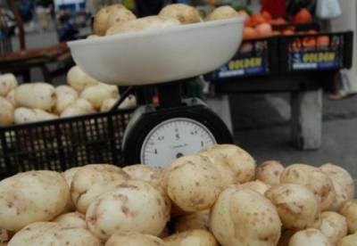 Минэкономики планирует запретить импорт картофеля из России