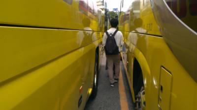 Туристические автобусы превратились в токийский лабиринт.
