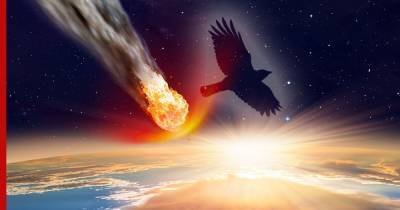 Раскрыт секрет выживания птиц после падения астероида, убившего динозавров