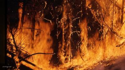 Лесные пожары вспыхнули рядом с жилыми поселками на Колыме