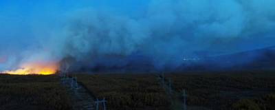 В Магадане сообщили о семи лесных пожарах