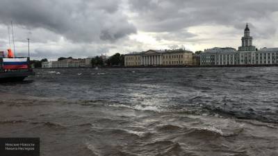 Петербург в понедельник ожидает усиление ветра