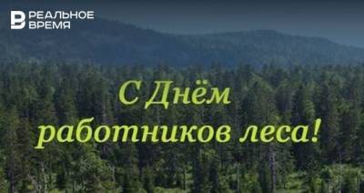 День работников леса и осенние пейзажи: новые посты глав районов Татарстана в «Инстаграме» 20 сентября