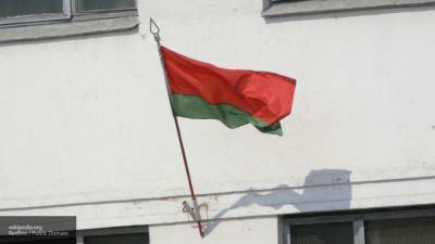 Азаров предрек Белоруссии незавидное будущее в случае победы оппозиции