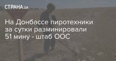 На Донбассе пиротехники за сутки разминировали 51 мину - штаб ООС