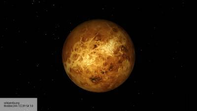 Астрофизики заговорили о возможном существовании жизни на Венере