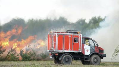 Лесопожарные службы потушили в России 11 природных пожаров за сутки
