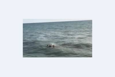 На многолюдном пляже в Сочи утонул мужчина