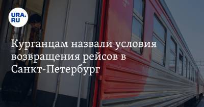 Курганцам назвали условия возвращения рейсов в Санкт-Петербург