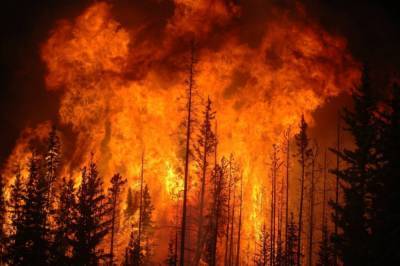 В Калифорнии начался масштабный пожар в заповеднике