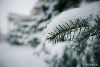 «Мягкая и снежная»: Россиянам рассказали, какой будет предстоящая зима