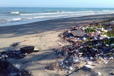 Украинские экологи бьют тревогу: через 30 лет в Черном море будет пластика больше, чем рыбы