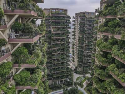 Китайский проект экологического жилого комплекса с «вертикальным лесом» провалился (ФОТО)