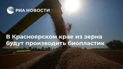 В Красноярском крае из зерна будут производить биопластик