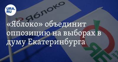 «Яблоко» объединит оппозицию на выборах в думу Екатеринбурга