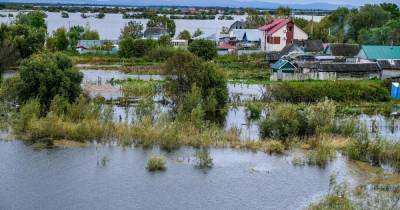 Вода зашла в дома: на Дальнем Востоке осложняется ситуация с паводками - ren.tv - Хабаровский край