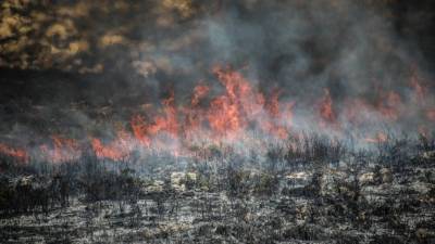 Видео: Сотня сотрудников МЧС на вертолетах и бульдозерах тушит пожары в Магаданской области