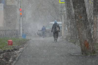 В Свердловской области ожидаются заморозки до –3 градусов и мокрый снег