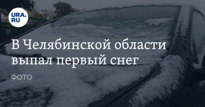 В Челябинской области выпал первый снег. ФОТО