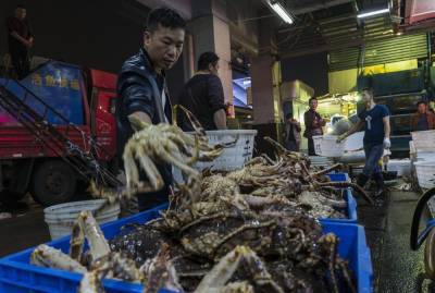 Коронавирус найден на упаковке кальмаров из России - newsrussia.media - Россия - Китай