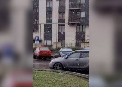 В российском регионе выпал первый снег