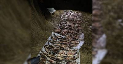 В Краснодарском крае браконьеры отделались условным сроком за рыбалку на 790 тыс. рублей