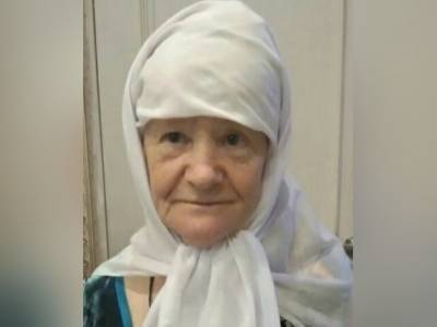 Пенсионерка с болезнью Альцгеймера пропала в Дивеевском районе
