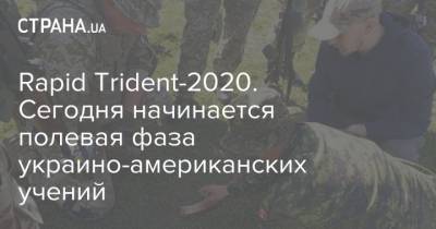 Rapid Trident-2020. Сегодня начинается полевая фаза украино-американских учений