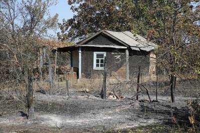 Донские власти: пострадавшим от природных пожаров выплатили финансовую помощь
