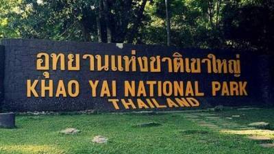 В любую точку мира: Таиландский национальный парк будет возвращать туристам их мусор по почте
