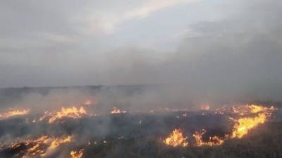 В Днепропетровской области осенняя уборка закончилась масштабным пожаром