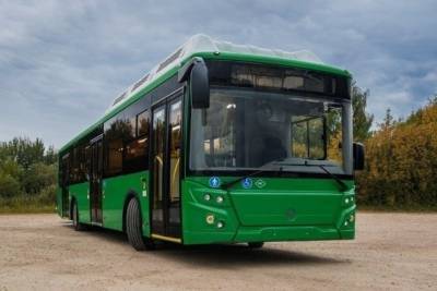 45 низкопольных автобусов на метане купила Псковская область