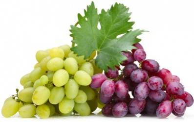 Эксперт рассказал, в каких сортах винограда «безумное количество сахара»