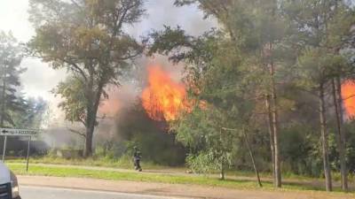 Видео: во Всеволожске горит заброшенный дом