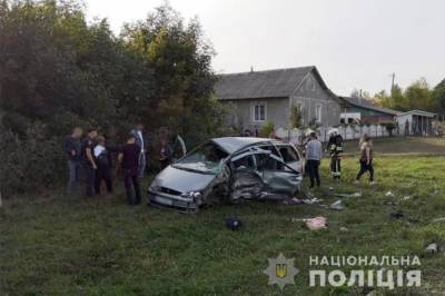 В Хмельницкой области произошло ДТП с семью травмированными, среди них есть дети