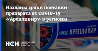 Названы сроки поставки препарата от COVID-19 «Арепливир» в регионы