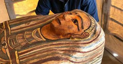 В Египте нашли еще 14 мумий — и «это только начало» - popmech.ru - Египет - Мемфис