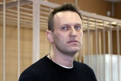 МВД: по делу Навального опросили 200 человек